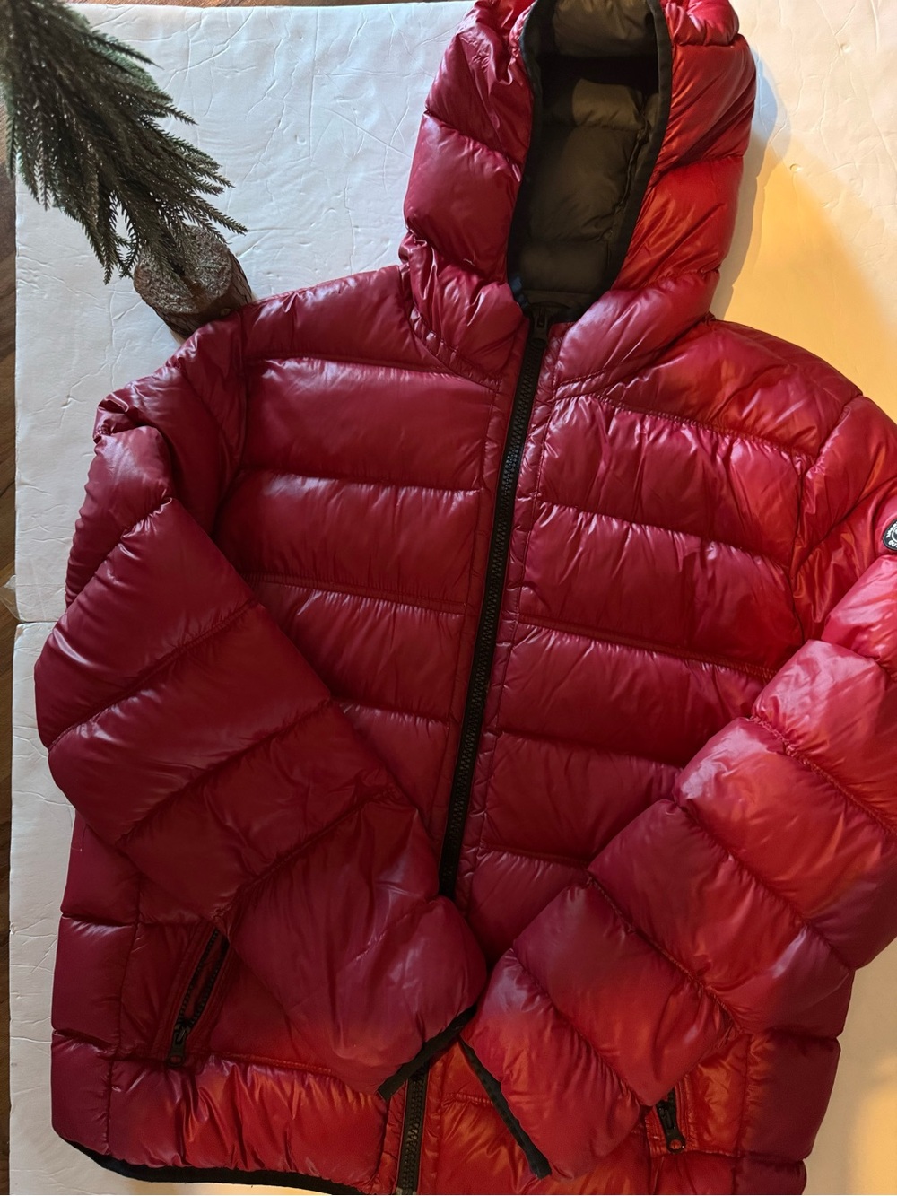 American Eagle Outfitters Red Puffer Hooded Jacket